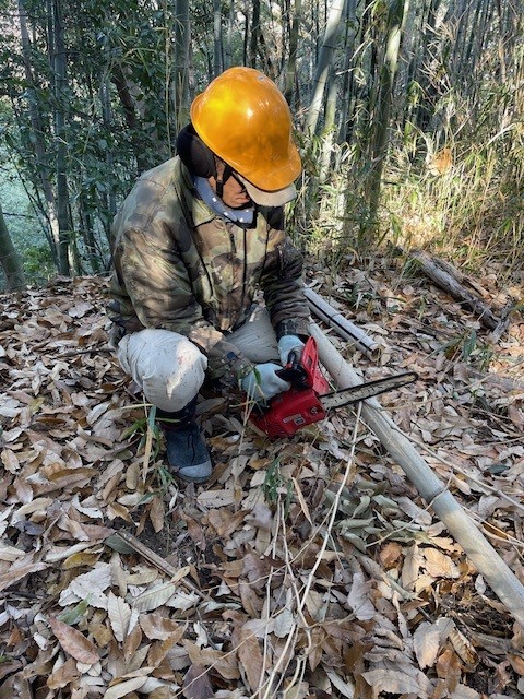 チェンソーで玉切りしてみました。