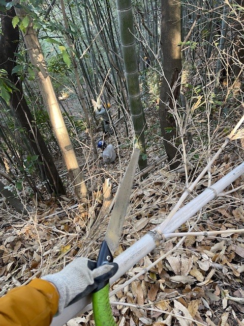 竹専用のノコを使います。