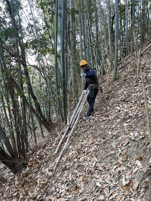竹を切ったあと片付けします。